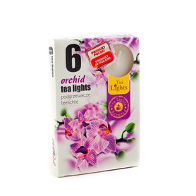 TEA LIGHTS vonné čajové svíčky Orchid 6 ks