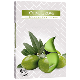 AURA vonné čajové svíčky Olive Grove 6 ks