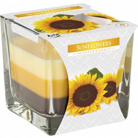 BISPOL svíčka ve skle Tříbarevná Sunflowers - až 32h