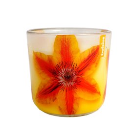 BOLSIUS svíčka ve skle Orange Clematis 22 h