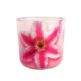 BOLSIUS svíčka ve skle Pink Clematis 22 h