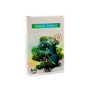 AURA vonné čajové svíčky Magic Forest 6 ks