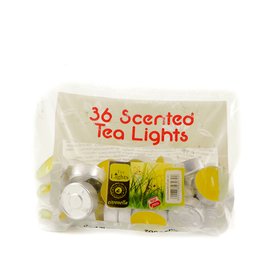 TEA LIGHTS Čajové svíčky proti komárům 36 ks