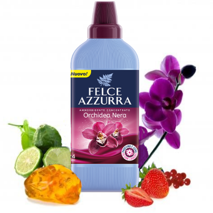 felce-azzurra-avivaz-orchidea-nera.png