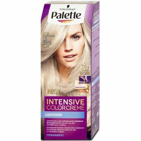 PALETTE Barva na vlasy - ledový stříbřitě plavý 10-1 C10
