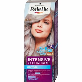PALETTE Barva na vlasy - chladný stříbřitě plavý 10-19