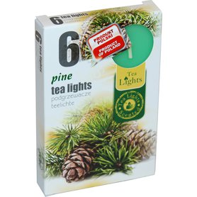 TEA LIGHTS vonné čajové svíčky Pine 6 ks