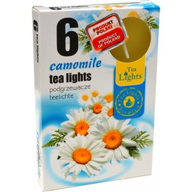 TEA LIGHTS vonné čajové svíčky Camomile 6 ks